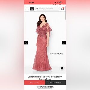 Cameron Blake dress, Rouge, #221867, new with tags, never worn, size 10